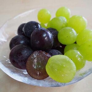 ピオーネ＆瀬戸ジャイアンツ 約1.5kg ★食べ比べ★【2026年8月下旬～2026年9月中旬頃順次発送】【A241-frks135】