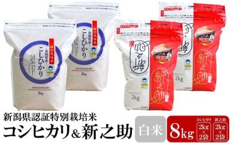 【令和5年産米】新潟県認証特別栽培米 コシヒカリ・新之助 白米 各4kg 食べ比べセット [B365]
