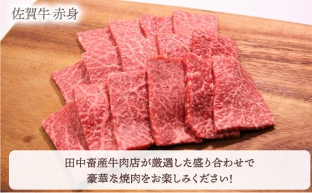 【全6回定期便】【隔月発送】佐賀牛 焼肉セット 1.0kg（霜降り・赤身 各500g）【田中畜産牛肉店】黒毛和牛 焼肉 バーベキュー BBQ[HBH123] 佐賀牛 牛肉 黒毛和牛 佐賀牛 牛肉 和牛