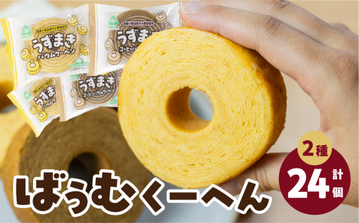 【1個ずつ個包装】バウムクーヘン 個包装 うずまき プレーン＆コーヒー 12袋×2種 計24個 豊橋市 バウムクーヘン 個包装 バウムクーヘン 個包装 バウムクーヘン 個包装 バウムクーヘン 個包装 バウムクーヘン 個包装 バウムクーヘン 個包装 バウムクーヘン 個包装 バウムクーヘン 個包装 バームクーヘン バームクーヘン コーヒー バウムクーヘン コーヒー バウムクーヘン 焼菓子 焼菓子