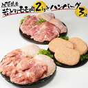 【ふるさと納税】ありたどり 鶏もも肉 約2kg・丸福ハンバーグ 3個セット ／ 若鶏 鶏肉 鳥肉 鶏もも肉 もも肉 鶏もも 肉 真空パック 佐賀牛 ハンバーグ 味付き 黒毛和牛 牛肉 肉 弁当 おかず 惣菜 簡単 調理 お手軽 時短 焼くだけ 国産 佐賀県 玄海町 冷凍 送料無料