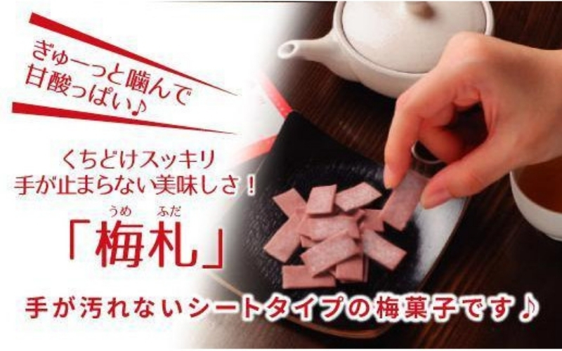 紀州梅札 14g×30袋　梅づくり100年「紀州ほそ川」の梅お菓子　【hoso005A】