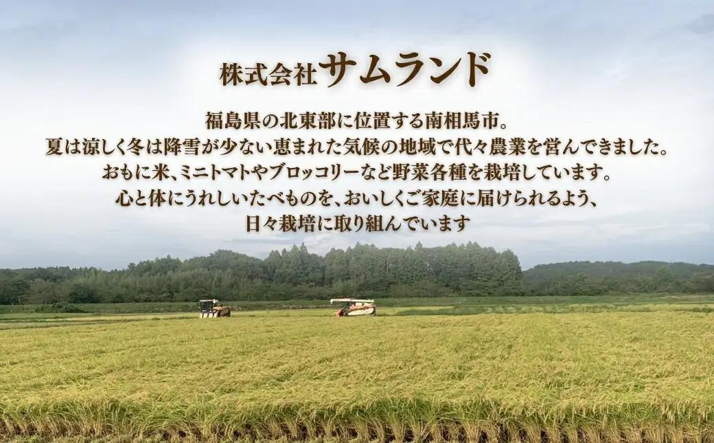 にじのきらめき 白米5kg 令和8年産|南相馬 精米 お取り寄せ