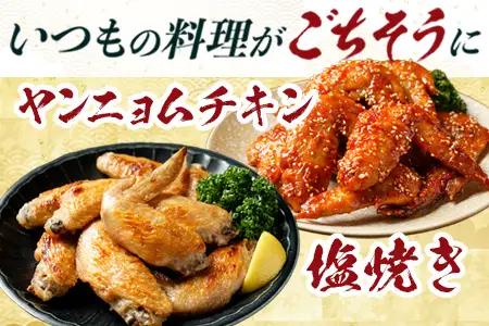 みやざき地頭鶏 手羽先 500g×3P セット 冷凍｜鶏肉 地鶏 手羽先 精肉 焼き鳥 煮物 鍋 チキン じとっこ 真空パック 興洋開発株式会社 宮崎県 諸塚村 KY-12