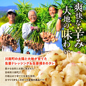 脇田農園産　生姜農家が作った生姜ドレッシング3本＆生姜焼きのタレ2本　計5本セット 【 生姜 ショウガ 国産 宮崎県産 九州産 川南町産 農家直送 しょうが 生姜焼きのたれ ドレッシング 】