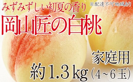 もも 2025年 先行予約 岡山匠の白桃 約1.3kg 4～6玉 犬塚農園 岡山県産 清水白桃 桃 モモ 家庭用 初夏 みずみずしい