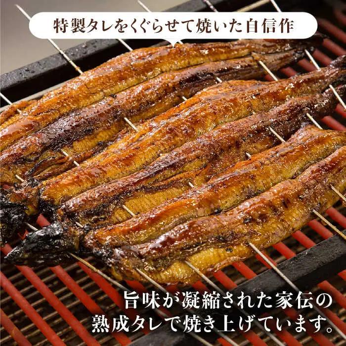 ふっくらジューシーのこだわりうなぎ【12回定期便】国産うなぎ蒲焼 6枚セット×12回[FAD016]