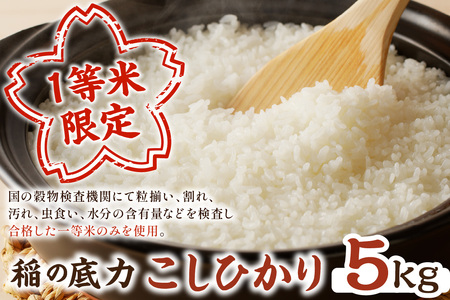 【令和7年産】浜田市産「稲の底力こしひかり」5kg 米 お米 こしひかり 生活応援 応援 準備 5キロ 1等米 【197_1955】