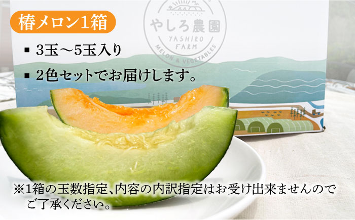【先行予約】【2025年6月順次発送】やしろ農園の椿メロン 赤肉 緑 メロン フルーツ 果物 食べ比べ 五島市 / いきいきファーム [PCY008]