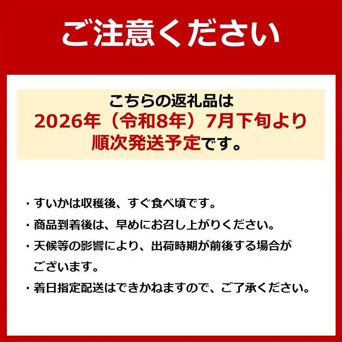 【高級】八色原すいか大玉２玉 | すいか
