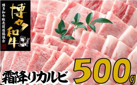 A1368.【博多和牛】A４・Ａ５等級こくうま霜降りカルビ焼肉５００ｇ【限定２万パック】早いもの勝ち！