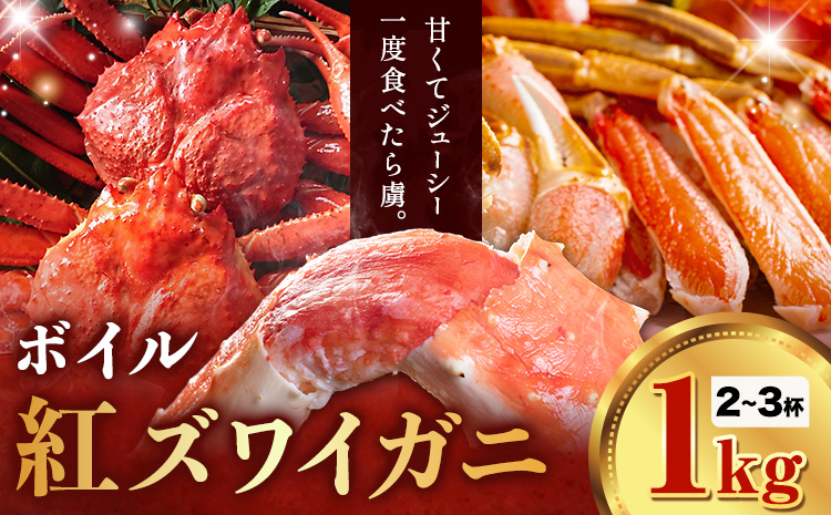 【ふるさと納税】カニ 紅ズワイガニ 1kg(2杯 〜3 杯) 《9月上旬-5月末頃出荷》 SOO合同会社 鳥取県 八頭町 送料無料  蟹 かに 姿 鍋 ズワイガニ  ズワイ蟹 ボイル ベニズワイ ベニズワイガニ