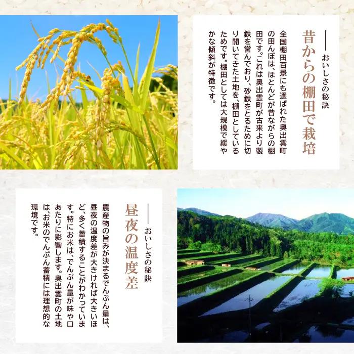 【毎月20日配送】 出雲國仁多米の玄米10kg定期便12回【仁多米 コシヒカリ こしひかり 玄米 定期便 10kg 12回 合計120kg ブランド米 お米 米 人気 令和7年度産 2025年度産 】