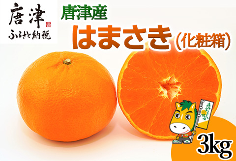 『先行予約』【令和9年1月下旬発送予定】唐津産 はまさき 3kg 化粧箱 みかん ミカン オレンジ フルーツ 果物 ギフト