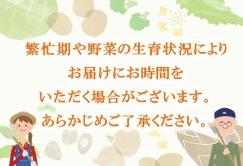 年間定期便24回 バーニャカウダ野菜セットレギュラー 12品 【有機野菜 おまかせ野菜セット イタリア野菜 西洋野菜 定期便】(H078144)