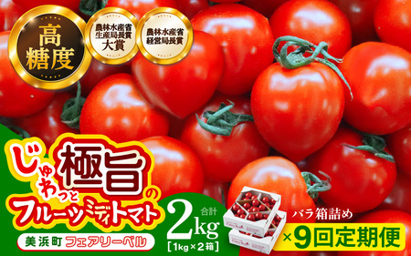 定期便 ≪9ヶ月連続お届け≫ フルーツミディトマト 約2kg(1kg×2箱）× 9回 トマト 野菜   [m37-i001]