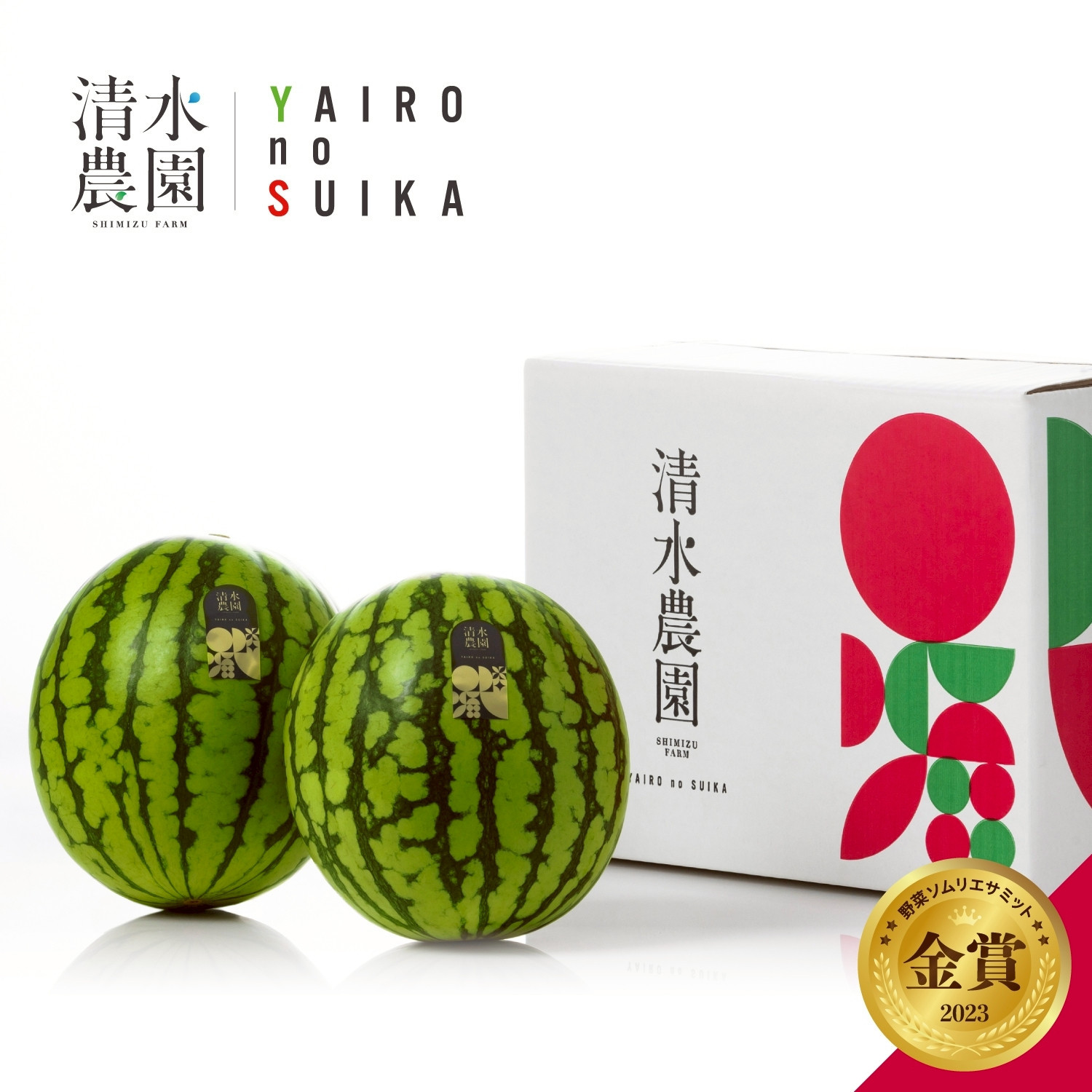 2026年7月中旬から発送予定　野菜ソムリエサミット金賞受賞　「清水農園の八色産小玉スイカ」（2玉）【西瓜 スイカ すいか 小玉 季節限定 果物 フルーツ ギフト 名産地 産地直送 シャキシャキ 厳選