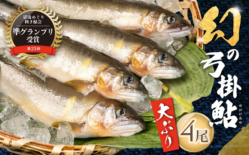 
                  【先行予約】（2026年8月中旬頃から発送）幻の弓掛鮎 4尾以上 大型（1尾 約80g前後以上）計320g以上【冷凍パック】天然鮎  ジャンボ あゆ アユ ゆがけ 下呂市 金山 クラブハウス馬瀬川
                