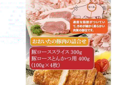 大分県産豚わんぱく元気セット2.6kg_1827R