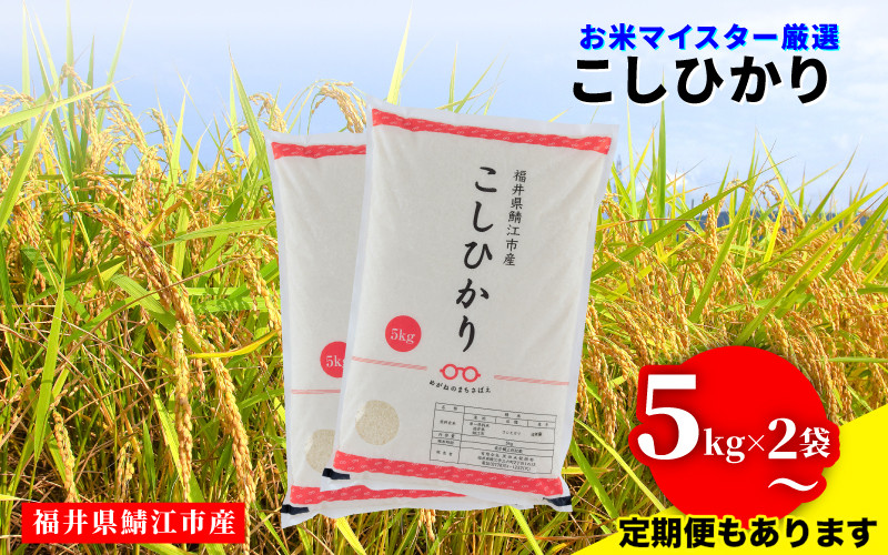 
            【選べる配送回数！】年内特別価格！【令和6年産】 コシヒカリ  [B-02030] / 定期便 こしひかり お米 精米 白米 小分け 便利 ごはん コメ ブランド米 人気 品種
          