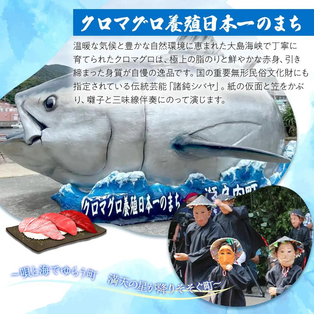 ＜無添加 天然醸造酢＞奄美きび酢 300ml×3本 セット|きび酢