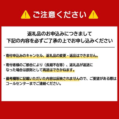 ふるさと納税 千歳市 味噌汁 インスタント みそ汁 減塩 徳用 即席 4種 22食入 2袋 【紅一点】《千歳工場製造》 |  | 03