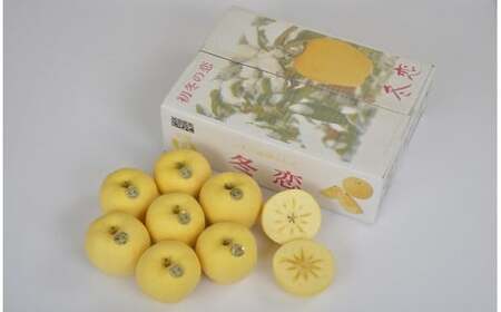 二戸産 カシオペア 冬恋はるか 約2.5kg 【2025年12月上旬-下旬発送予定】 ／りんご リンゴ 林檎 フルーツ 果物 旬 お取り寄せ 冬恋ブランド 蜜入り