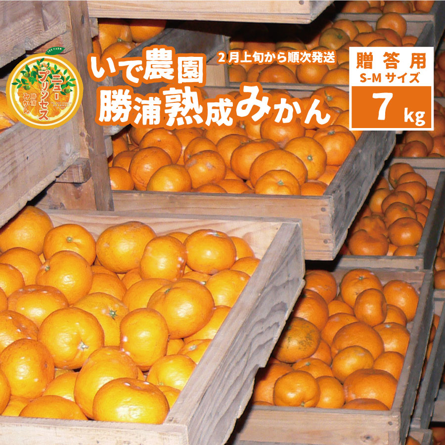 井出農園 贈答用 熟成みかん 秀品 S-Mサイズ 7kg