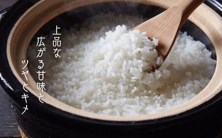 【 本氣米3kg：コシヒカリ】甘くてもっちり島のブランド米 本氣米 お米 精米 白米 弁当 ごはん ご飯 おにぎり 年末年始 お正月 お歳暮 御歳暮 ギフト