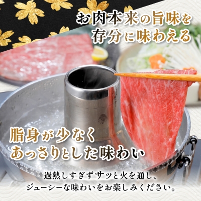 黒毛和牛 赤身ももスライス 600g(枕崎市) A3−371【配送不可地域：離島】【1616206】