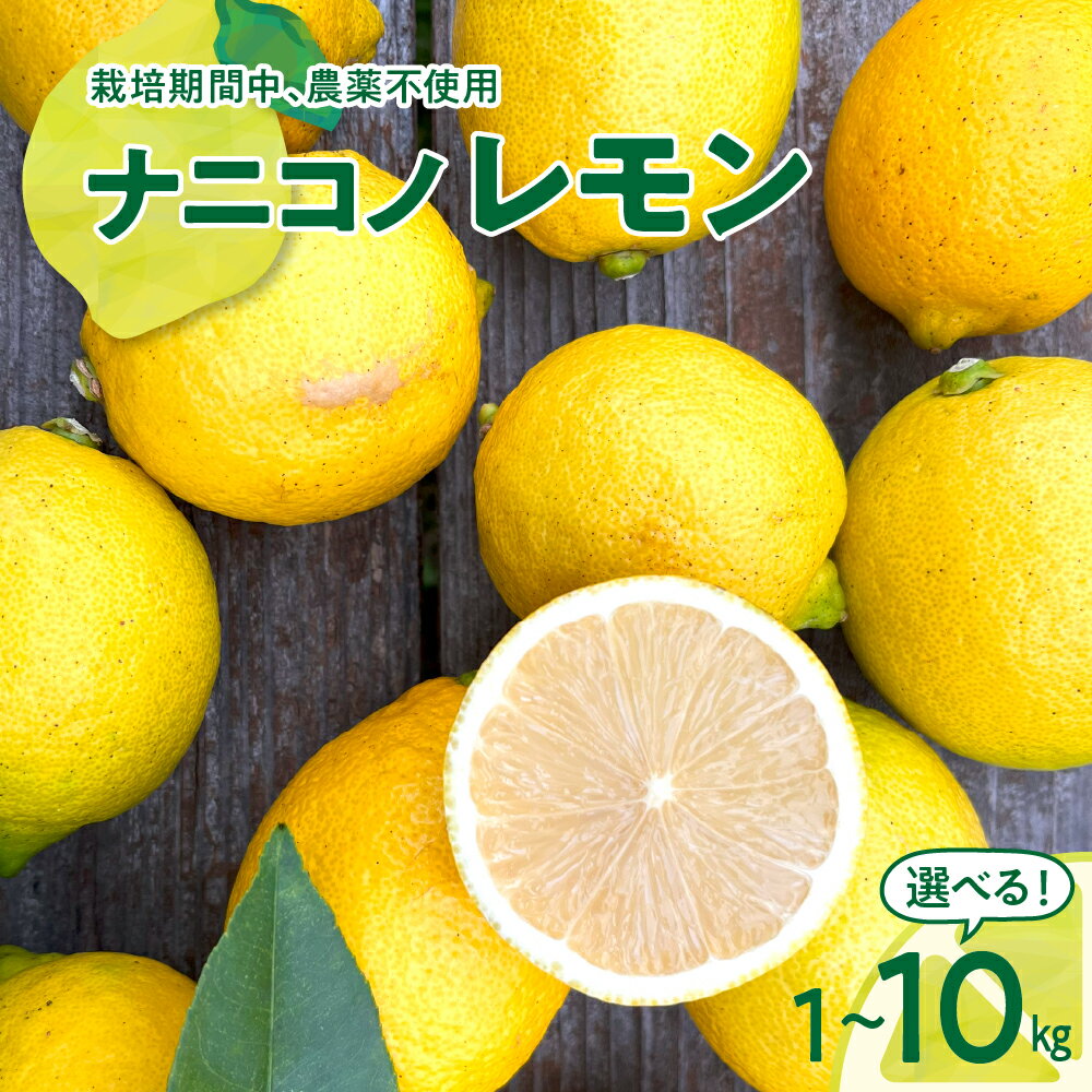 【ふるさと納税】先行予約 ナニコノレモン 1kg 3kg 5kg 10kg 【2025年12月下旬～発送】 内容量が選べる 広島県産 瀬戸内 檸檬 レモン 果物 柑橘 フルーツ グリーンレモン イエローレモン 産地直送 送料無料 常温配送 先行受付 大容量 広島県 呉市