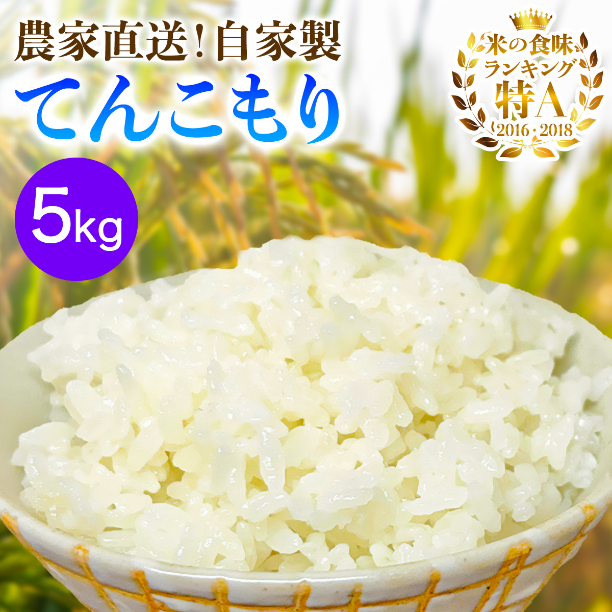 [2025年10月下旬頃から発送] 米 5kg 農家直送！自家製 てんこもり｜先行予約 お米 おこめ コメ 白米 神奈川 伊勢原 [0526]