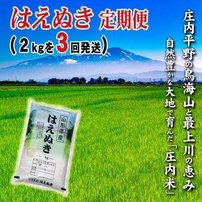 ふるさと納税 酒田市 【毎月定期便】少量小袋で山形県の米どころ庄内平野で育った庄内米　はえぬき2kg全3回