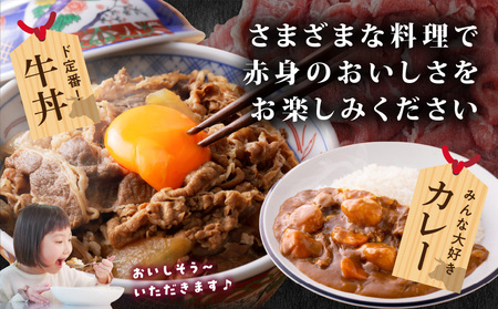 国産牛 赤身切り落とし1.35kg(450g×3パック)_13-3603_(都城市) 牛肉 国産 赤身 切り落とし 切落し ウデ モモ 450g 3パック カレー 肉じゃが 牛丼 肉炒め 牛肉 肉 小