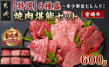 ≪希少部位ヒレ入り！≫ 宮崎牛【特選】6種盛 焼肉堪能セット 600g_22-6502_(都城市) 宮崎県産宮崎牛 焼肉6種盛 各100g ロース 肩ロース ヒレ ウデ バラ モモ 秋特集