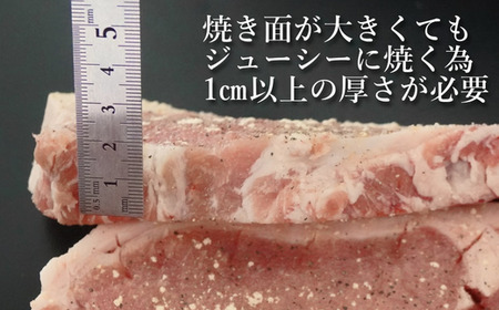 カネカン竹内 ポークチャップ（懐かしの特製デミソース付） 【 ふるさと納税 人気 おすすめ ランキング ポークチャップ 豚肉 豚 ポーク ケチャップ ポークソテー 国産 北海道産豚 濃厚 おかず お弁