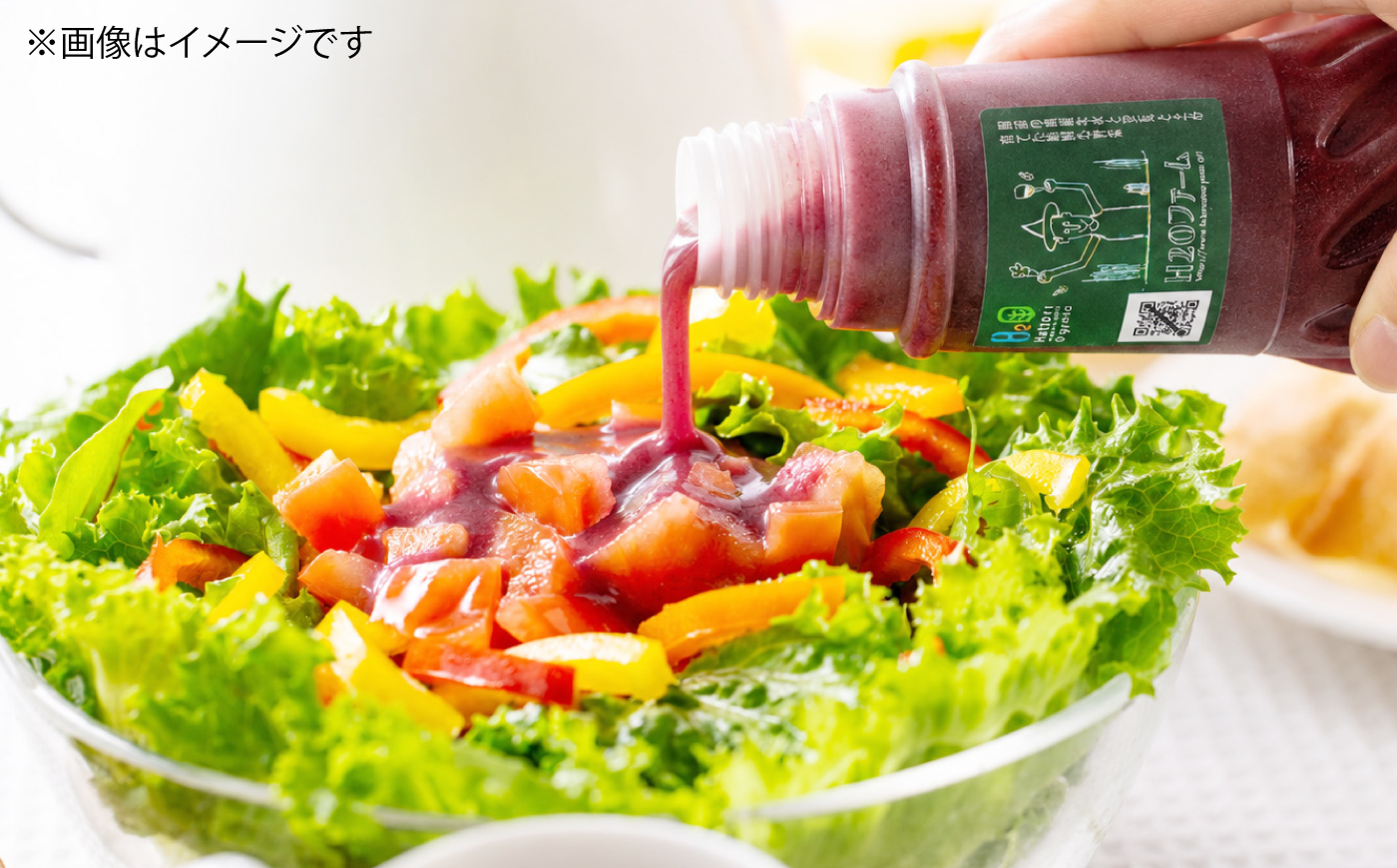 調味料セット 食べる野菜の自家製ドレッシング2種（人参・ビーツ）＆手作りマスタード2個の詰め合わせ はっとりほたるの里 H2Oファーム 広島県福山市/はっとりほたるの里株式会社 ドレッシングセット 粒マスタード 調味料詰め合わせ 手作りドレッシング [BAHK011]