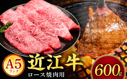 近江牛ロース焼肉用 600g 常松商店 滋賀県 東近江市 D32 近江牛 焼肉 ロース 牛肉 A5 和牛 600g 国産 焼き肉 冷蔵 ギフト 霜降り