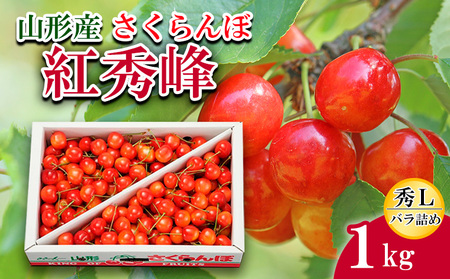 さくらんぼ紅秀峰 L 1kg バラ詰め 【令和8年産先行予約】FS25-534