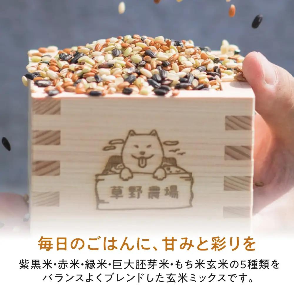 五色米 1.5kg（300g×5） 滋賀県長浜市/草野農場[AQDT018]