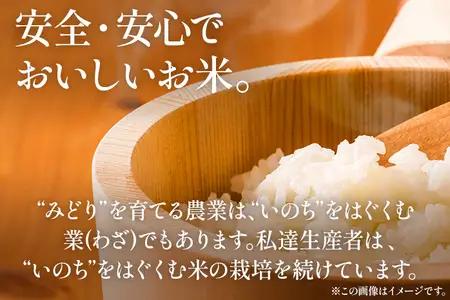 令和8年産 予約 れんげ農法栽培米「元気つくし」（精米10㎏） BI23
