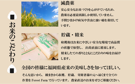 【 期間限定!! 寄付額改定!!】《令和8年産先行予約！2026年10月発送》米 夢つくし 5kg 3回定期便 |米 FRF