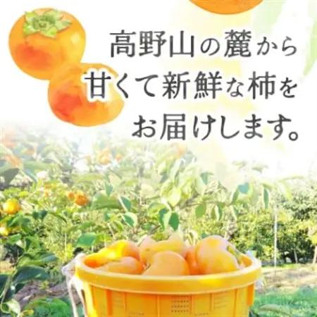 柿【2026年度発送分】ケーズファーム　富有柿　M　14個程度(約2.8kg)【1135662】