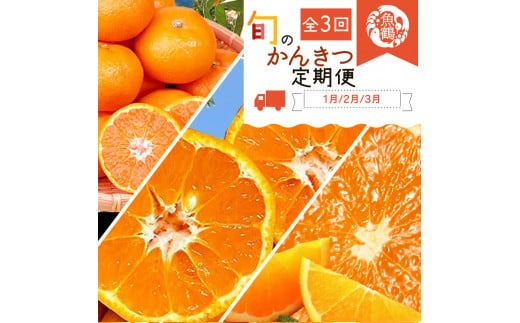 【3か月定期便】人気のみかんを集めた！旬の柑橘定期便 田村みかん・ポンカン・清見オレンジ【tkb111】