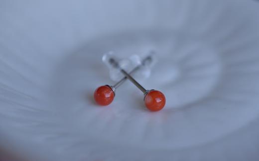 海の秘宝珊瑚：ピアスC