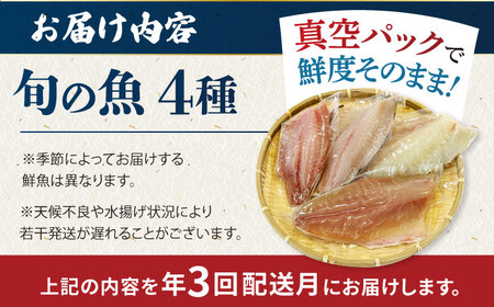 【全3回定期便】金澤仕立て 鮮魚ボックス 旬の魚4種 鮮魚 簡単 旬 海鮮 真空 冷蔵 五島市/金沢鮮魚[PEP015]