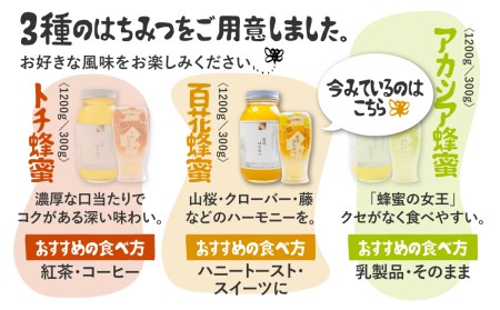 飛騨産 生蜂蜜 百花蜜 300g 国産無添加 百花 はちみつ ギフト ハニー非加熱[Q1195]