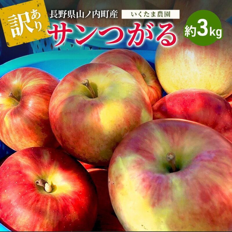 【ふるさと納税】【2026年8月～発送】訳あり サンつがる 約3kg リンゴ りんご フルーツ 果物 お取り寄せ 長野県 山ノ内町　お届け：2026年8月下旬～9月中旬まで