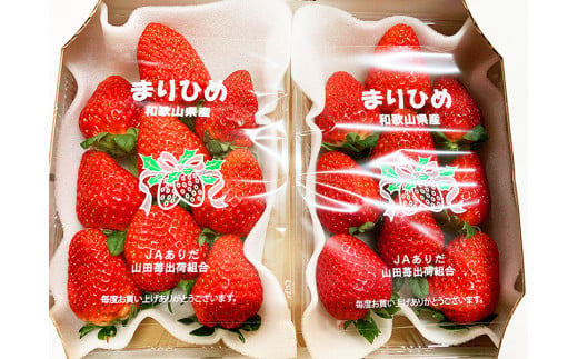 【来シーズン先行予約】紀州和歌山ブランドいちご「まりひめ」約280g×2P ※2027年1月上旬頃～3月上旬頃に順次発送予定（お届け日指定不可）【uot759A】