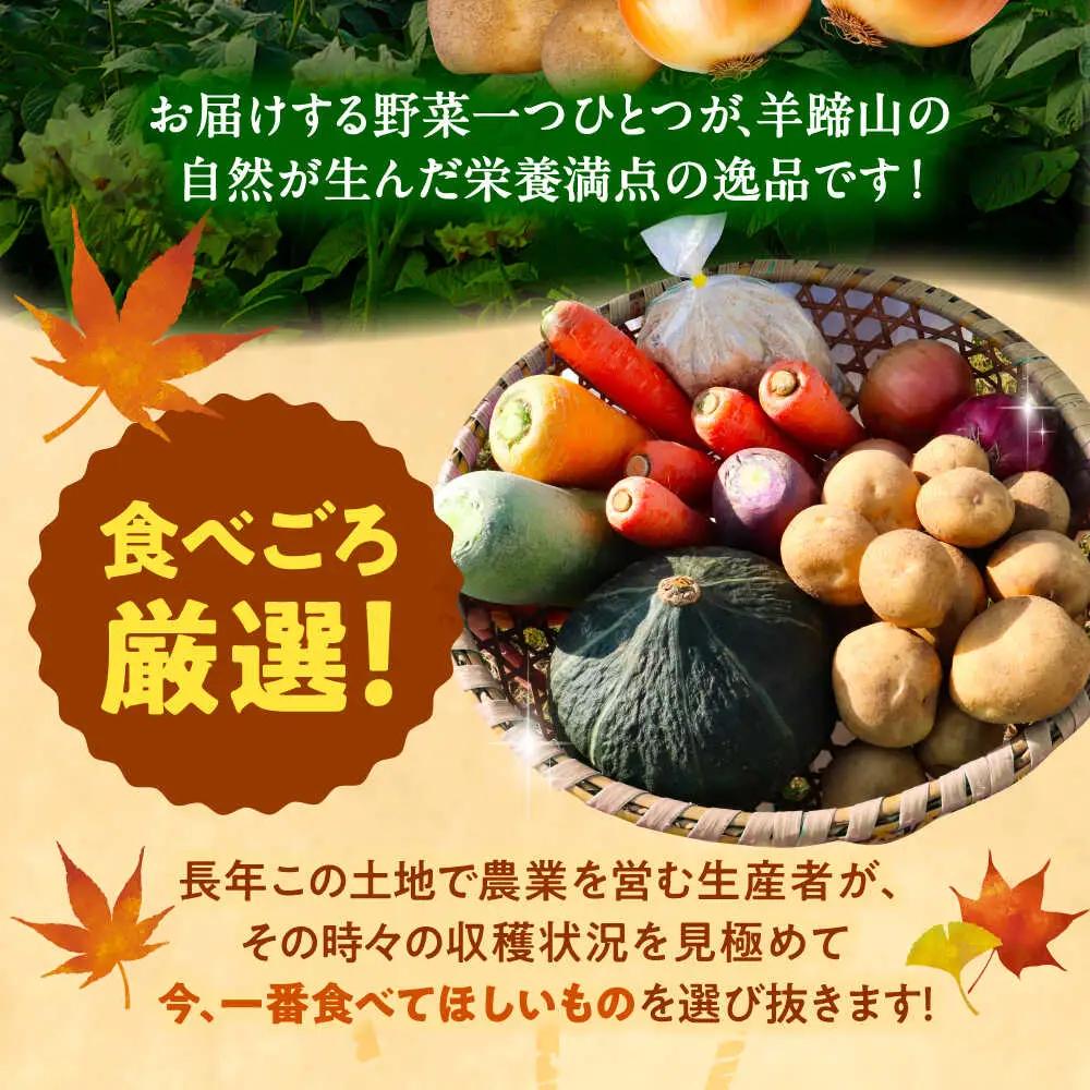 【先行予約】 秋の味覚セット [BPAM001] 野菜セット 北海道